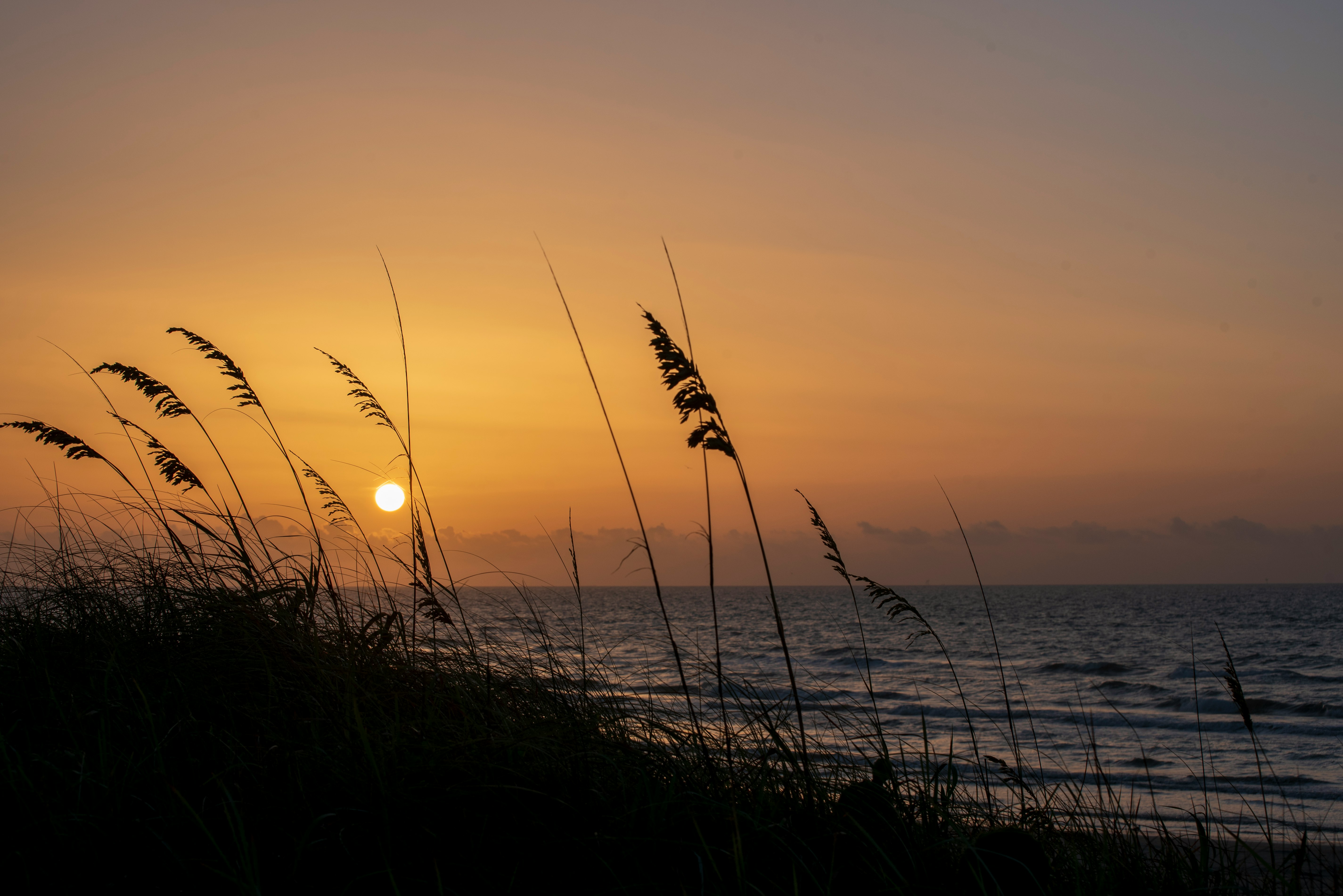 body of water during sunset